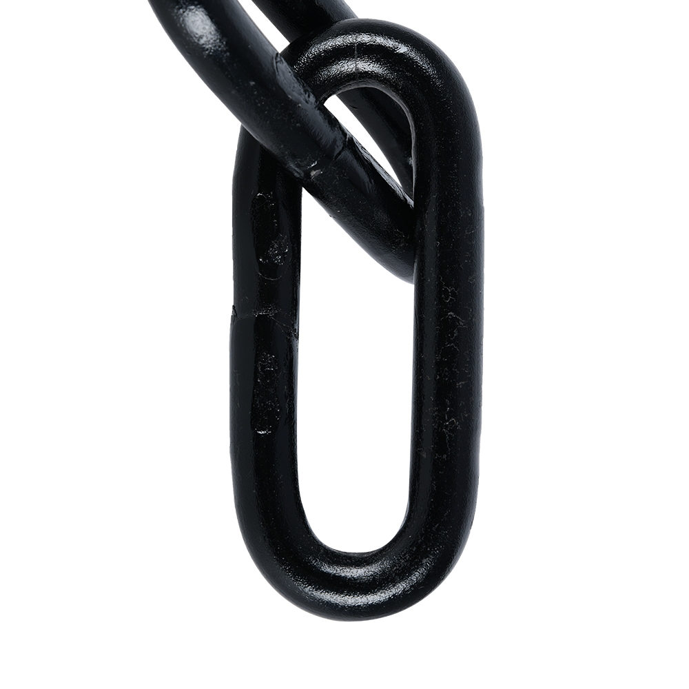 Oxford Beast Chain