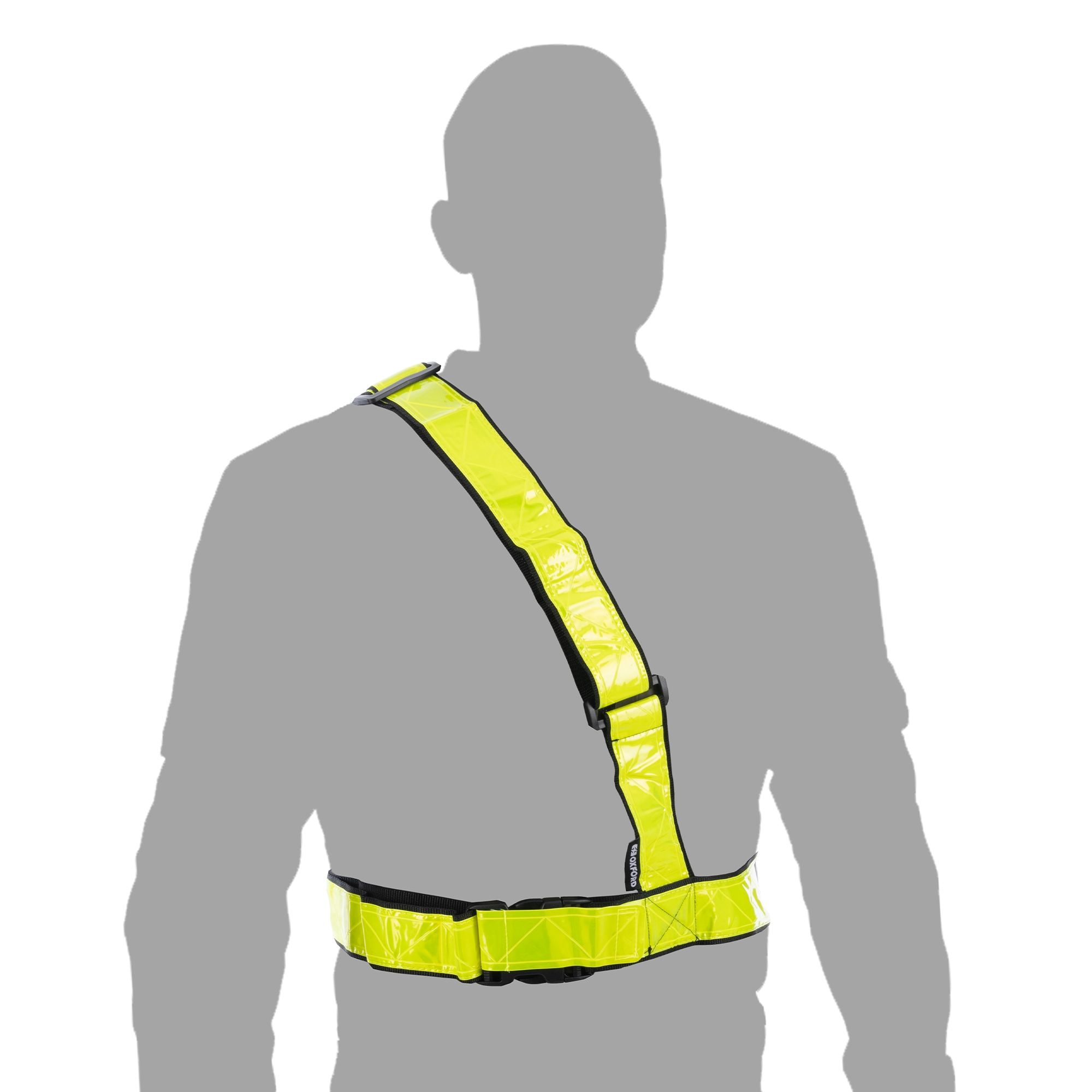 Oxford Bright Belt